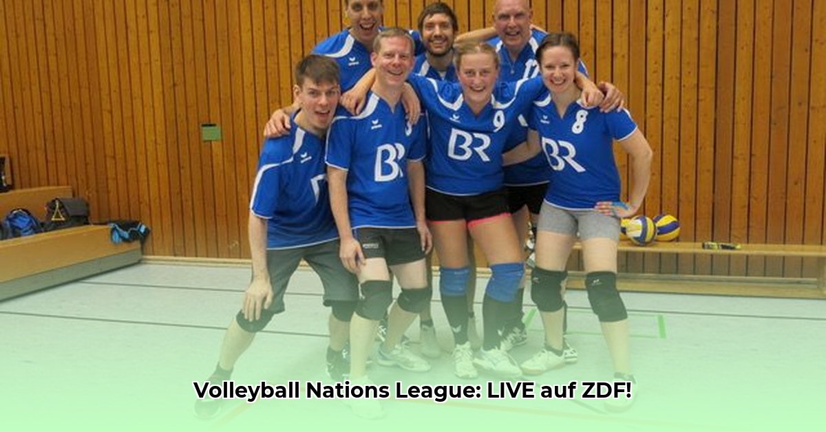 zdf-volleyball